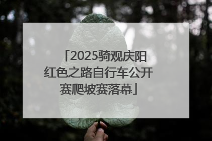 2025骑观庆阳红色之路自行车公开赛爬坡赛落幕