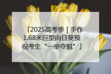 2025高考季｜手作1.68米巨型向日葵预祝考生“一举夺魁”