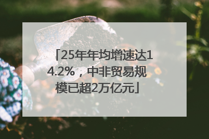25年年均增速达14.2%，中非贸易规模已超2万亿元