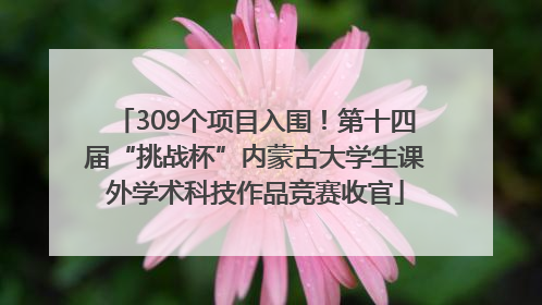309个项目入围！第十四届“挑战杯”内蒙古大学生课外学术科技作品竞赛收官