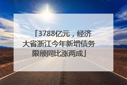 3788亿元，经济大省浙江今年新增债务限额同比涨两成