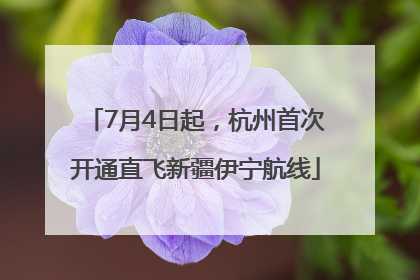 7月4日起，杭州首次开通直飞新疆伊宁航线