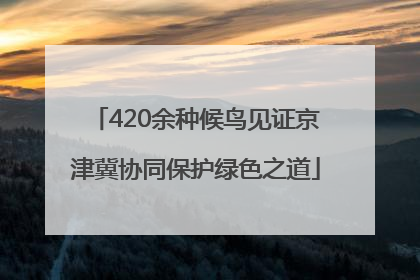 420余种候鸟见证京津冀协同保护绿色之道