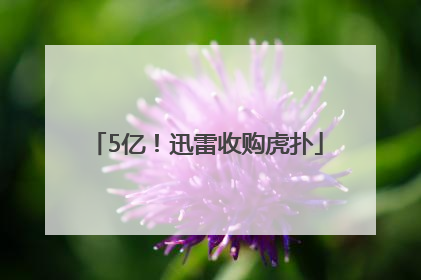 5亿！迅雷收购虎扑