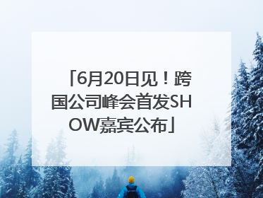 6月20日见！跨国公司峰会首发SHOW嘉宾公布