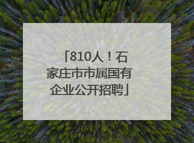 810人！石家庄市市属国有企业公开招聘