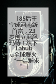 85后王宁成河南新首富，23岁创立泡泡玛特！旗下Labubu全球爆火“一娃难求”