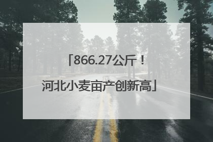866.27公斤！河北小麦亩产创新高