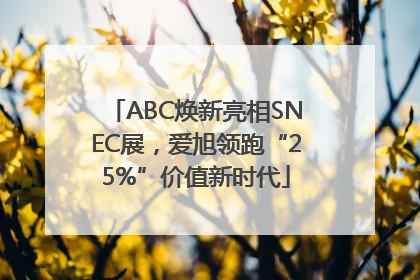 ABC焕新亮相SNEC展，爱旭领跑“25%”价值新时代