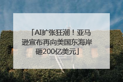 AI扩张狂潮！亚马逊宣布再向美国东海岸砸200亿美元